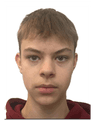 Tregubenko, Nikolay